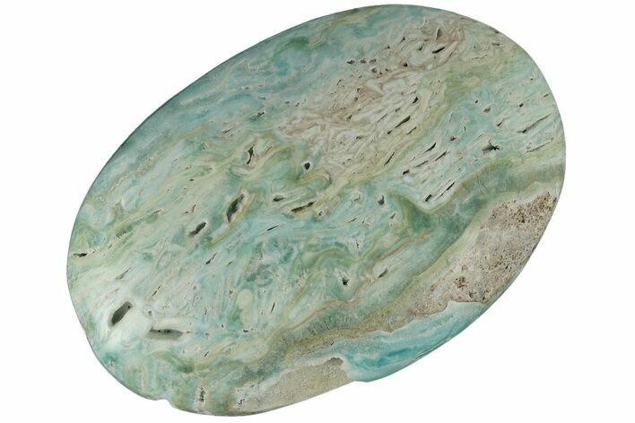 Polished Blue Caribbean Calcite Palm Stone #187875